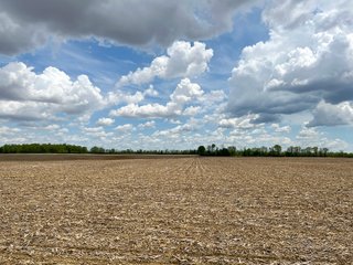 Property photo 61 - SPECTACULAR CROPLAND EASTERN INDIANA AUCTION 1,112 +/- ACRES OFFERED IN 13 TRACTS IN WAYNE AND UNION COUNTIES, INDIANA