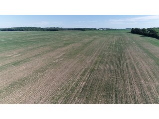 Property photo 2 - SPECTACULAR CROPLAND EASTERN INDIANA AUCTION 1,112 +/- ACRES OFFERED IN 13 TRACTS IN WAYNE AND UNION COUNTIES, INDIANA