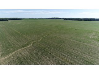 Property photo 5 - SPECTACULAR CROPLAND EASTERN INDIANA AUCTION 1,112 +/- ACRES OFFERED IN 13 TRACTS IN WAYNE AND UNION COUNTIES, INDIANA