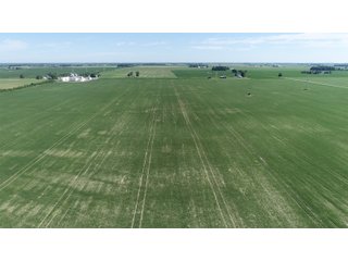 Property photo 9 - SPECTACULAR CROPLAND EASTERN INDIANA AUCTION 1,112 +/- ACRES OFFERED IN 13 TRACTS IN WAYNE AND UNION COUNTIES, INDIANA