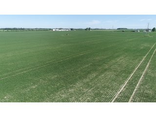 Property photo 11 - SPECTACULAR CROPLAND EASTERN INDIANA AUCTION 1,112 +/- ACRES OFFERED IN 13 TRACTS IN WAYNE AND UNION COUNTIES, INDIANA