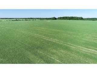 Property photo 13 - SPECTACULAR CROPLAND EASTERN INDIANA AUCTION 1,112 +/- ACRES OFFERED IN 13 TRACTS IN WAYNE AND UNION COUNTIES, INDIANA