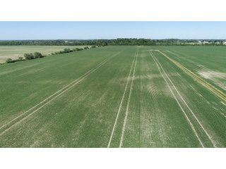 Property photo 14 - SPECTACULAR CROPLAND EASTERN INDIANA AUCTION 1,112 +/- ACRES OFFERED IN 13 TRACTS IN WAYNE AND UNION COUNTIES, INDIANA