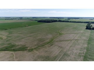 Property photo 23 - SPECTACULAR CROPLAND EASTERN INDIANA AUCTION 1,112 +/- ACRES OFFERED IN 13 TRACTS IN WAYNE AND UNION COUNTIES, INDIANA