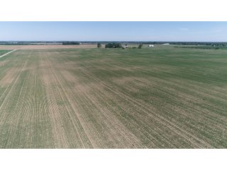 Property photo 25 - SPECTACULAR CROPLAND EASTERN INDIANA AUCTION 1,112 +/- ACRES OFFERED IN 13 TRACTS IN WAYNE AND UNION COUNTIES, INDIANA