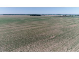 Property photo 32 - SPECTACULAR CROPLAND EASTERN INDIANA AUCTION 1,112 +/- ACRES OFFERED IN 13 TRACTS IN WAYNE AND UNION COUNTIES, INDIANA