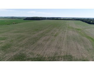 Property photo 34 - SPECTACULAR CROPLAND EASTERN INDIANA AUCTION 1,112 +/- ACRES OFFERED IN 13 TRACTS IN WAYNE AND UNION COUNTIES, INDIANA