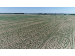 Property photo 35 - SPECTACULAR CROPLAND EASTERN INDIANA AUCTION 1,112 +/- ACRES OFFERED IN 13 TRACTS IN WAYNE AND UNION COUNTIES, INDIANA