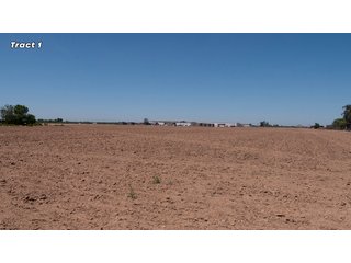 Property photo 5 - IMPORTANT REAL ESTATE AUCTION - 23.45 +/- ACRES IN 3 TRACTS, AS PART OF A 36.61+/- ACRE AUCTION - FRESNO COUNTY, CA