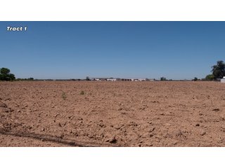 Property photo 6 - IMPORTANT REAL ESTATE AUCTION - 23.45 +/- ACRES IN 3 TRACTS, AS PART OF A 36.61+/- ACRE AUCTION - FRESNO COUNTY, CA