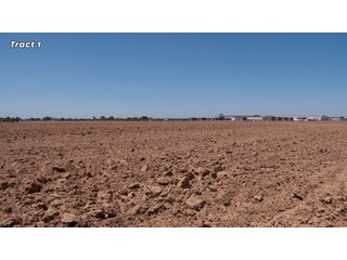 Property photo 9 - IMPORTANT REAL ESTATE AUCTION - 23.45 +/- ACRES IN 3 TRACTS, AS PART OF A 36.61+/- ACRE AUCTION - FRESNO COUNTY, CA