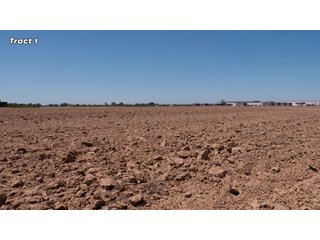 Property photo 10 - IMPORTANT REAL ESTATE AUCTION - 23.45 +/- ACRES IN 3 TRACTS, AS PART OF A 36.61+/- ACRE AUCTION - FRESNO COUNTY, CA