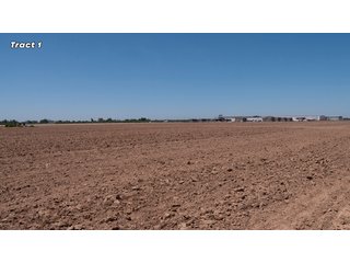 Property photo 4 - IMPORTANT REAL ESTATE AUCTION - 23.45 +/- ACRES IN 3 TRACTS, AS PART OF A 36.61+/- ACRE AUCTION - FRESNO COUNTY, CA