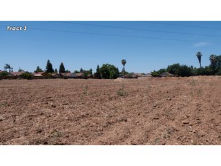 Property photo 22 - IMPORTANT REAL ESTATE AUCTION - 23.45 +/- ACRES IN 3 TRACTS, AS PART OF A 36.61+/- ACRE AUCTION - FRESNO COUNTY, CA