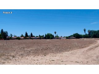 Property photo 20 - IMPORTANT REAL ESTATE AUCTION - 23.45 +/- ACRES IN 3 TRACTS, AS PART OF A 36.61+/- ACRE AUCTION - FRESNO COUNTY, CA