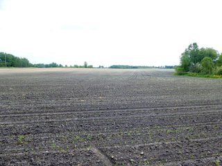 Property photo 4 - LAND AUCTION 102+/- ACRES OFFERED IN 2 TRACTS IN MIAMI COUNTY, IN