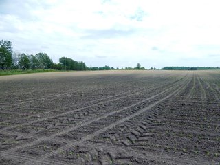 Property photo 2 - LAND AUCTION 102+/- ACRES OFFERED IN 2 TRACTS IN MIAMI COUNTY, IN