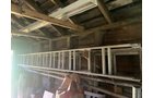 Property photo 99 - TIMED ONLINE ONLY PERSONAL PROPERTY AUCTION IN ALLEN COUNTY, INDIANA