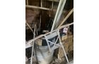 Property photo 136 - TIMED ONLINE ONLY PERSONAL PROPERTY AUCTION IN ALLEN COUNTY, INDIANA
