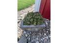 Property photo 266 - TIMED ONLINE ONLY PERSONAL PROPERTY AUCTION IN ALLEN COUNTY, INDIANA
