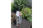 Property photo 267 - TIMED ONLINE ONLY PERSONAL PROPERTY AUCTION IN ALLEN COUNTY, INDIANA
