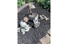 Property photo 268 - TIMED ONLINE ONLY PERSONAL PROPERTY AUCTION IN ALLEN COUNTY, INDIANA