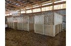 Property photo 74 - TIMED ONLINE ONLY FARM EQUIPMENT AND PERSONAL PROPERTY AUCTION IN WOOD COUNTY, OH