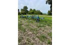 Property photo 30 - FARM EQUIPMENT AUCTION IN BRANCH & CALHOUN COUNTIES, MICHIGAN