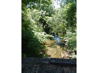 Property photo 17 - REAL ESTATE AUCTION 54+/- ACRES OFFERED IN 4 TRACTS IN ALLEN COUNTY, IN