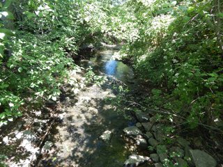 Property photo 18 - REAL ESTATE AUCTION 54+/- ACRES OFFERED IN 4 TRACTS IN ALLEN COUNTY, IN