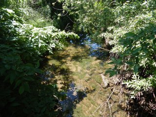 Property photo 19 - REAL ESTATE AUCTION 54+/- ACRES OFFERED IN 4 TRACTS IN ALLEN COUNTY, IN