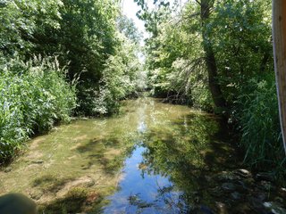 Property photo 14 - REAL ESTATE AUCTION 54+/- ACRES OFFERED IN 4 TRACTS IN ALLEN COUNTY, IN