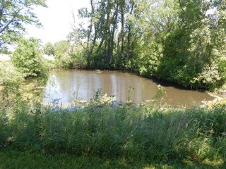 Property photo 13 - REAL ESTATE AUCTION 54+/- ACRES OFFERED IN 4 TRACTS IN ALLEN COUNTY, IN