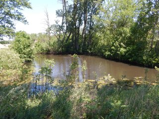 Property photo 12 - REAL ESTATE AUCTION 54+/- ACRES OFFERED IN 4 TRACTS IN ALLEN COUNTY, IN
