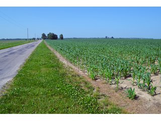 Property photo 41 - PREMIER LAND AUCTION - 277+/- ACRES OFFERED IN 6 TRACTS OR COMBINATIONS IN RUSH COUNTY, RUSHVILLE, IN