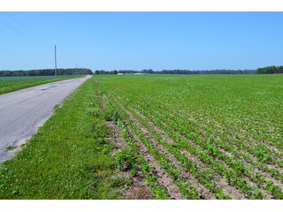 Property photo 32 - PREMIER LAND AUCTION - 277+/- ACRES OFFERED IN 6 TRACTS OR COMBINATIONS IN RUSH COUNTY, RUSHVILLE, IN