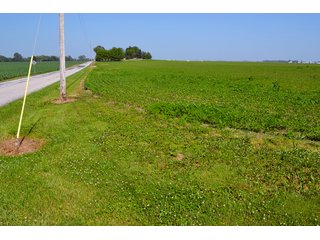 Property photo 29 - PREMIER LAND AUCTION - 277+/- ACRES OFFERED IN 6 TRACTS OR COMBINATIONS IN RUSH COUNTY, RUSHVILLE, IN