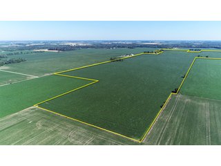 Property photo 2 - PREMIER LAND AUCTION - 277+/- ACRES OFFERED IN 6 TRACTS OR COMBINATIONS IN RUSH COUNTY, RUSHVILLE, IN