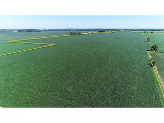 Property photo 3 - PREMIER LAND AUCTION - 277+/- ACRES OFFERED IN 6 TRACTS OR COMBINATIONS IN RUSH COUNTY, RUSHVILLE, IN
