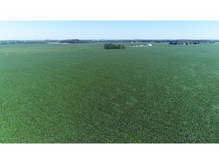 Property photo 11 - PREMIER LAND AUCTION - 277+/- ACRES OFFERED IN 6 TRACTS OR COMBINATIONS IN RUSH COUNTY, RUSHVILLE, IN