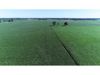 Property photo 12 - PREMIER LAND AUCTION - 277+/- ACRES OFFERED IN 6 TRACTS OR COMBINATIONS IN RUSH COUNTY, RUSHVILLE, IN