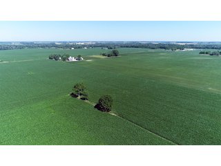 Property photo 13 - PREMIER LAND AUCTION - 277+/- ACRES OFFERED IN 6 TRACTS OR COMBINATIONS IN RUSH COUNTY, RUSHVILLE, IN