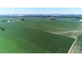Property photo 14 - PREMIER LAND AUCTION - 277+/- ACRES OFFERED IN 6 TRACTS OR COMBINATIONS IN RUSH COUNTY, RUSHVILLE, IN