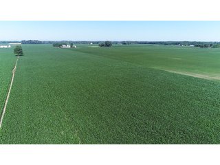 Property photo 15 - PREMIER LAND AUCTION - 277+/- ACRES OFFERED IN 6 TRACTS OR COMBINATIONS IN RUSH COUNTY, RUSHVILLE, IN