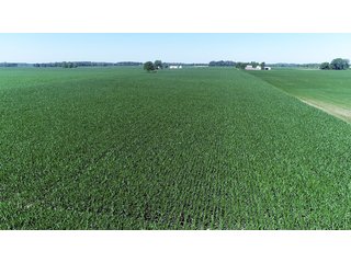 Property photo 16 - PREMIER LAND AUCTION - 277+/- ACRES OFFERED IN 6 TRACTS OR COMBINATIONS IN RUSH COUNTY, RUSHVILLE, IN