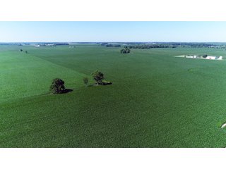 Property photo 17 - PREMIER LAND AUCTION - 277+/- ACRES OFFERED IN 6 TRACTS OR COMBINATIONS IN RUSH COUNTY, RUSHVILLE, IN