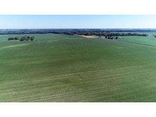 Property photo 18 - PREMIER LAND AUCTION - 277+/- ACRES OFFERED IN 6 TRACTS OR COMBINATIONS IN RUSH COUNTY, RUSHVILLE, IN