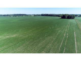 Property photo 4 - PREMIER LAND AUCTION - 277+/- ACRES OFFERED IN 6 TRACTS OR COMBINATIONS IN RUSH COUNTY, RUSHVILLE, IN