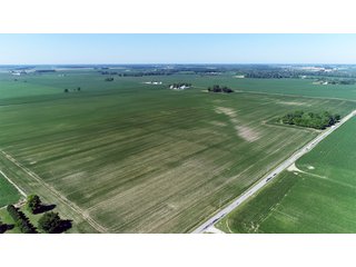 Property photo 20 - PREMIER LAND AUCTION - 277+/- ACRES OFFERED IN 6 TRACTS OR COMBINATIONS IN RUSH COUNTY, RUSHVILLE, IN