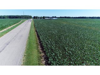 Property photo 23 - PREMIER LAND AUCTION - 277+/- ACRES OFFERED IN 6 TRACTS OR COMBINATIONS IN RUSH COUNTY, RUSHVILLE, IN